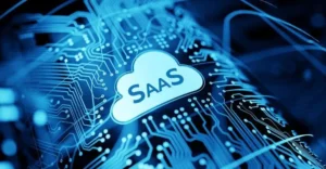 SaaS ERP Businesses